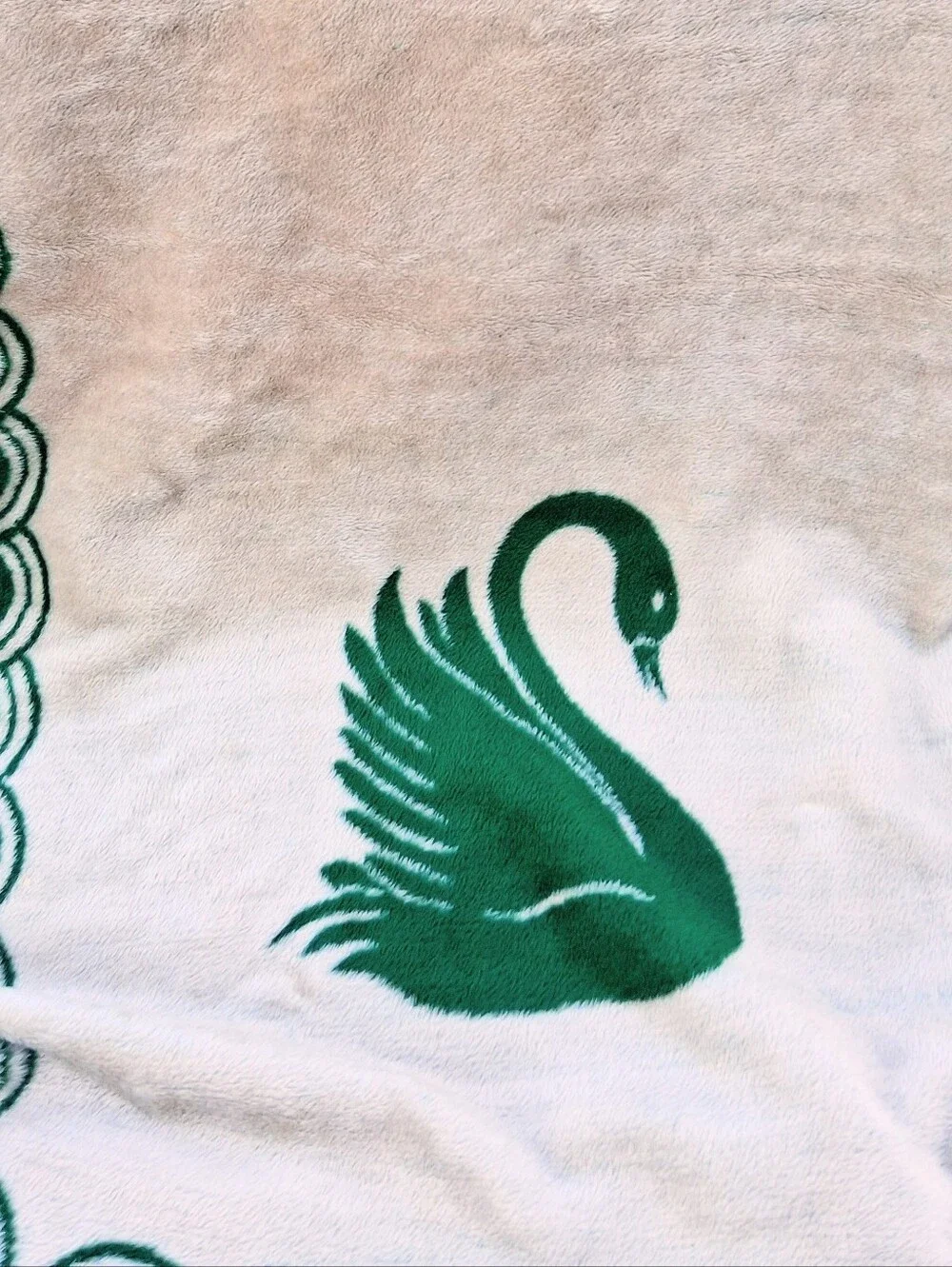 San Marcos 82